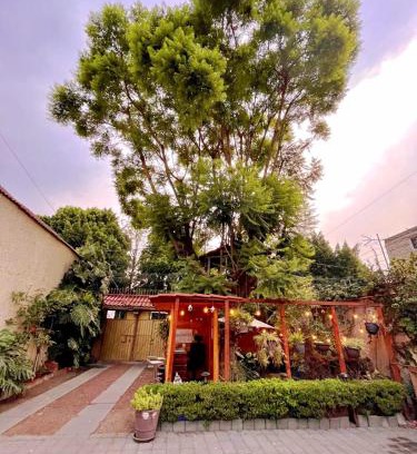 Venustiano Carranza Casa | Casita del Árbol