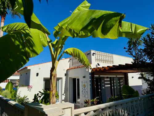 Vinaros Villa | Casita del Toro