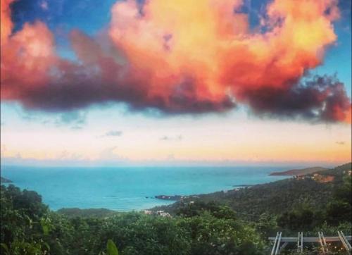 St. Thomas Hotel | Casita Orquidea