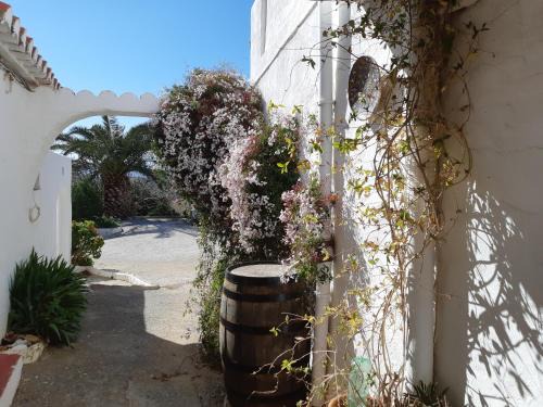 Rubite Casa | Casita Tomate