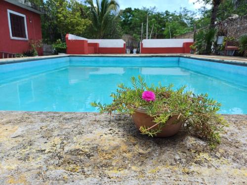 Mérida Villa | Casona Santa Cruz Palomeque