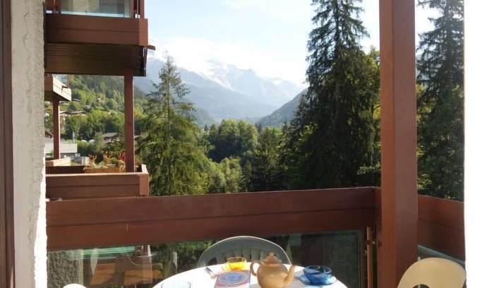 Saint-Gervais-les-Bains Apartamento | Apartamento Castel des Roches en Saint Gervais - 4 personas, 1 dormitorios