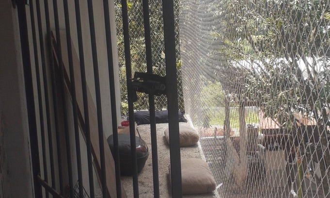 Jarinu Casa | Cat boarding 🐱 Travel
