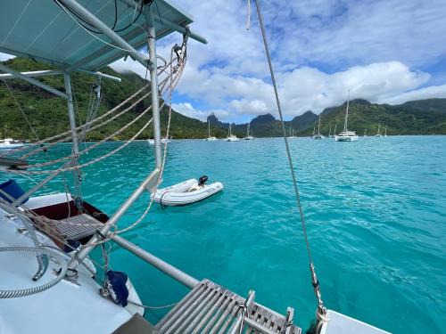 French Polynesia Alquiler De Eote | Catamaran Amaya - séjour insolite sur le lagon de Moorea