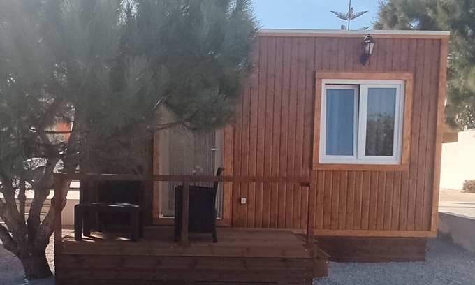 Lourinha Casa | CATSHOUSE CARQUEJA 2