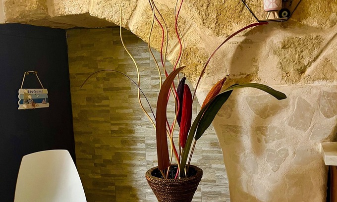 Mola di Bari Apartamento | Cattleya apartment. Mola di bari