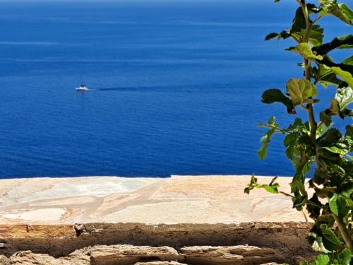 Andros Town Apartamento | Cavo Levante