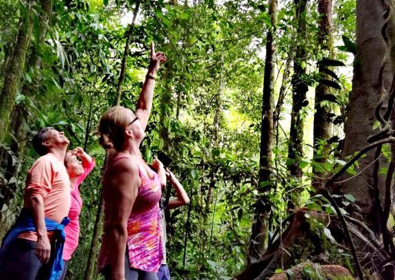Vieja Cabina | Cecropia Ecolodge
