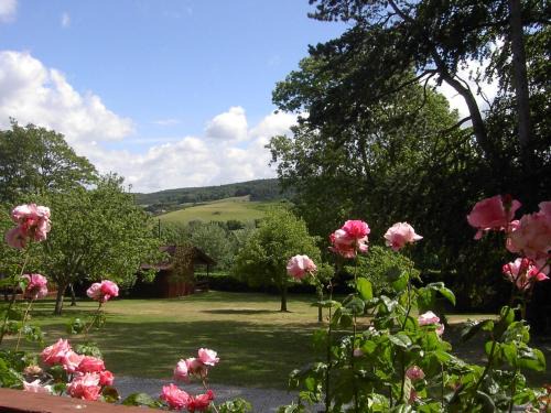 Minehead Casa | Cedar Lodge