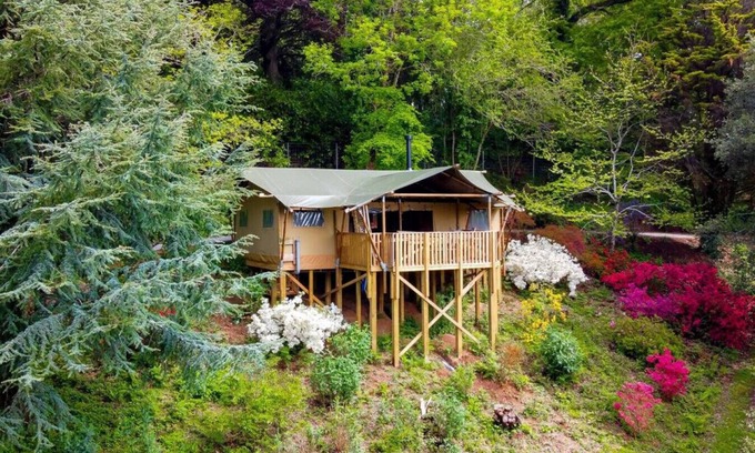 Kingsbridge Cabina | Cedar Lodge @ Lower Coombe Royal- with Hot Tub