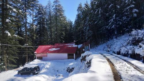 Matiana Cabina | cedar tree cottage gadakufri