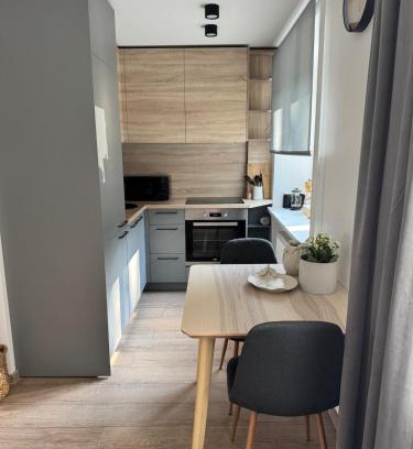 Jelgava Apartamento | Center Studio type apartment