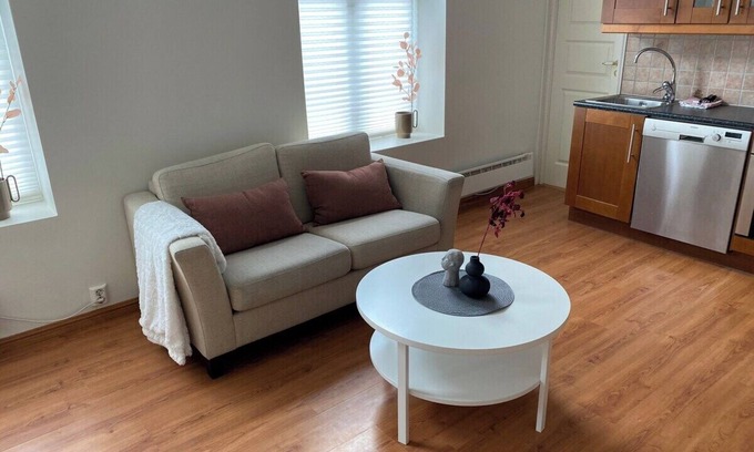 Narvik Apartamento | Central bus station apt (D14C)