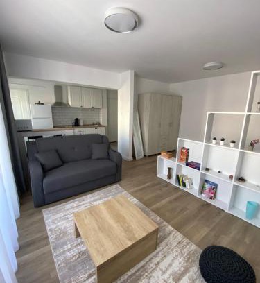 Craiova Apartamento | Central Studio Yoko