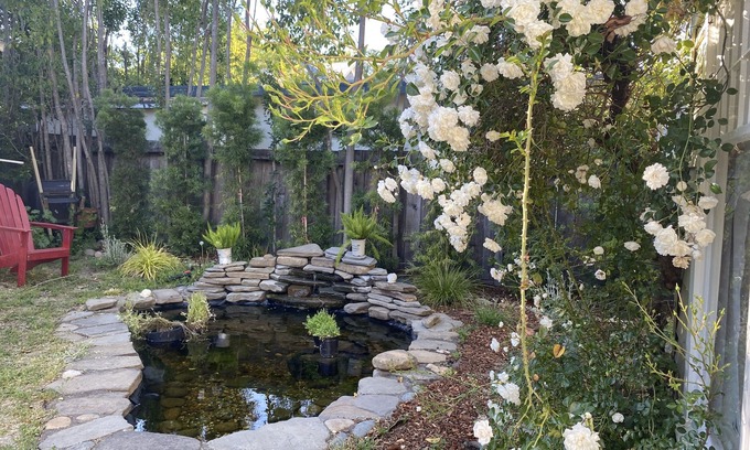 San Rafael Casa | Centrally located charming Victorian