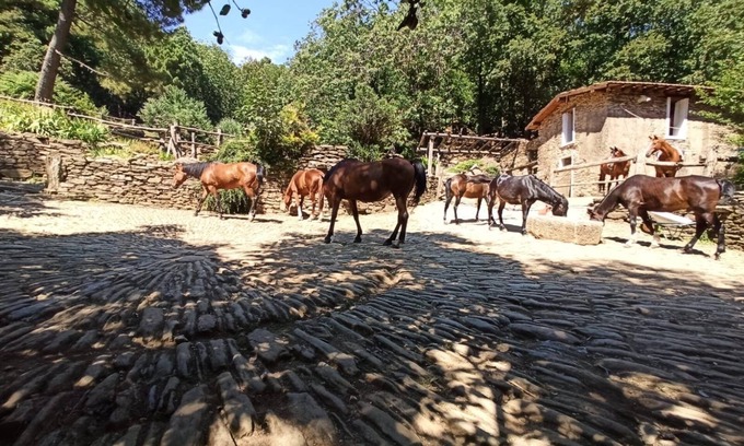 Colonnata Casa | Centro Trekking A Cavallo Monte Brugiana