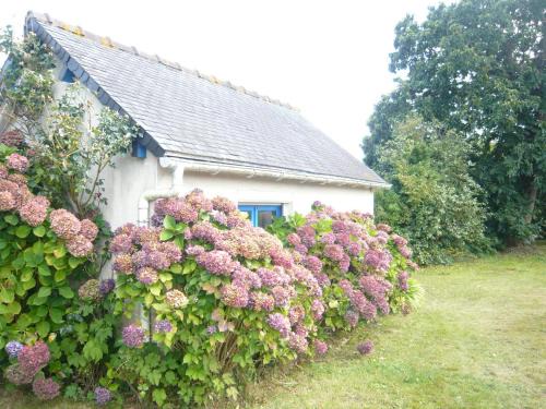Plouezec Cama Y Desayuno | Châtaigne