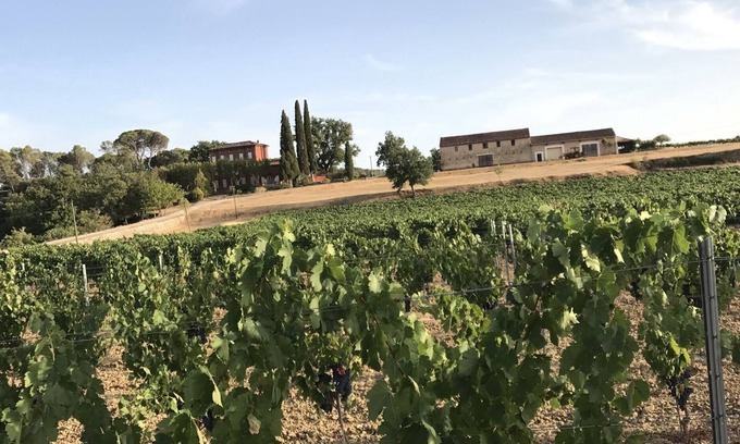 Entrecasteaux Casa | Château du Grand Jas