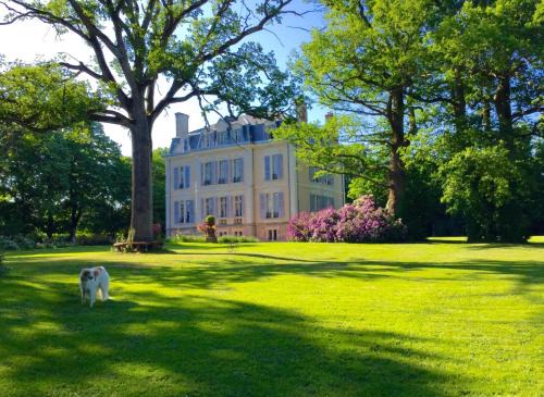 Boussac Cama Y Desayuno | Château La Creuzette