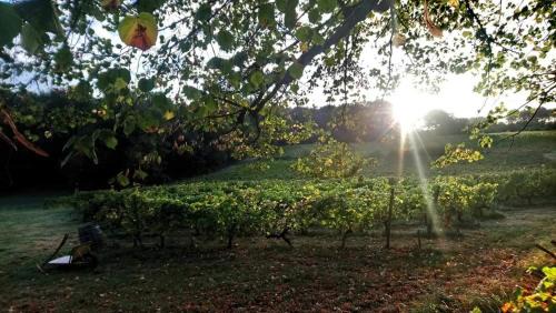 Salleboeuf Apartamento | Château Régaldo-Saint Blancard