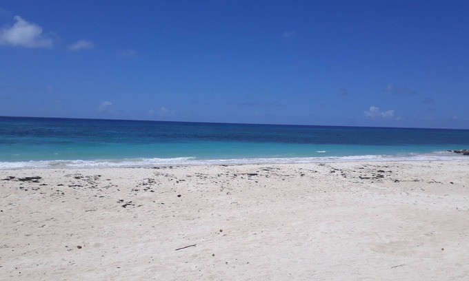 Maxwell Casa | CHADVILLE BEACH HOUSE BARBADOS (EL MÁS VENDIDO)