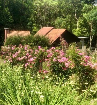 Guarapuava Casa | Chalé com Vista para Vinhedo e Natureza