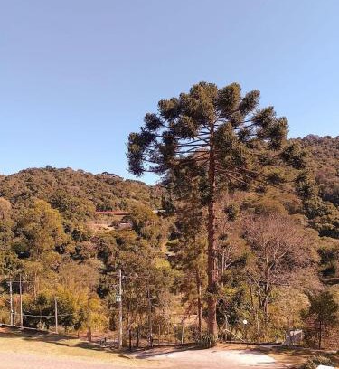 Santo Antonio do Pinhal Casa | Chalé da Lu
