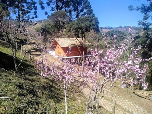 Sapucai-Mirim Cabina | Chalé da Mata