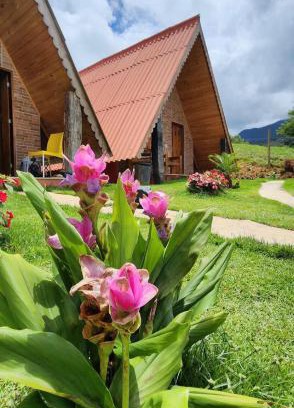 Divino de Sao Lourenco Chalet De Esquí | Chalés Flor do Caparaó em Patrimonio da Penha