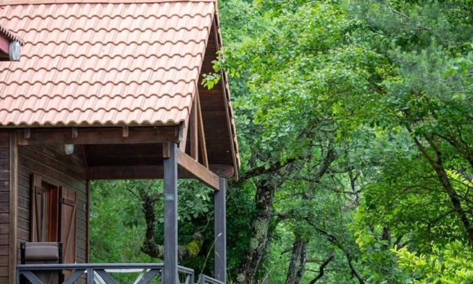 Die Chalet De Esquí | Chalet 4 étoiles - Piscine - ccaifhi