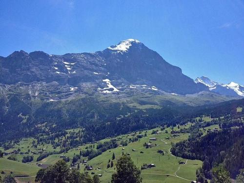 Grindelwald Apartamento | Chalet Bachsbort 14