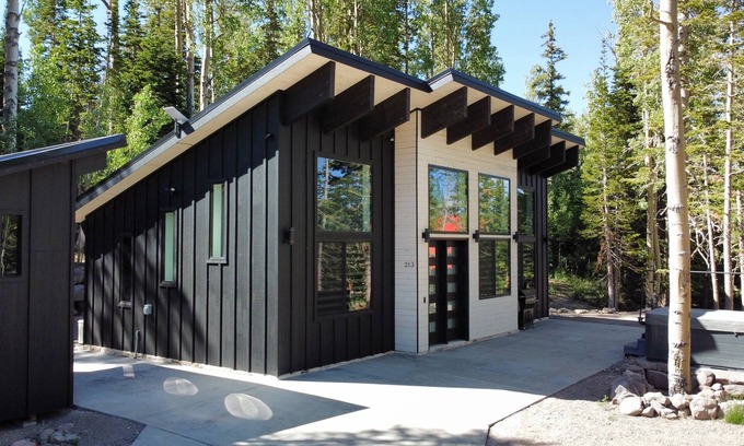Steam Engine Meadows Chalet De Esquí | Chalet Black: Modern Ski Resort Haven in Wooded Paradise! 4 queen beds
