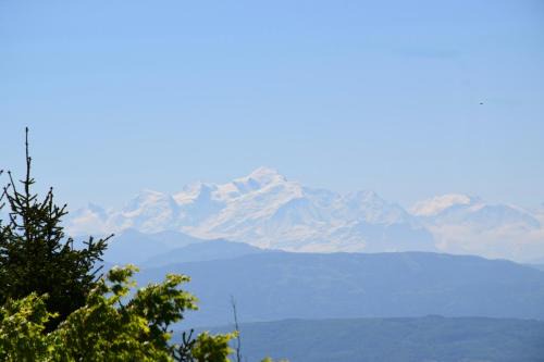 Arzier Apartamento | Chalet Calin - Business & Familles