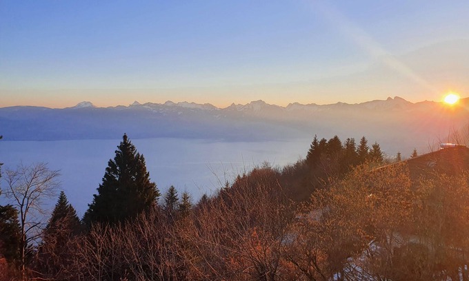 Thollon-les-Memises Chalet De Esquí | Chalet Chalon