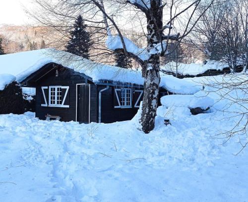 Mont-Dore Chalet De Esquí | Chalet des cascades