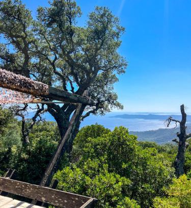 Le Lavandou Chalet De Esquí | Chalet des crêtes