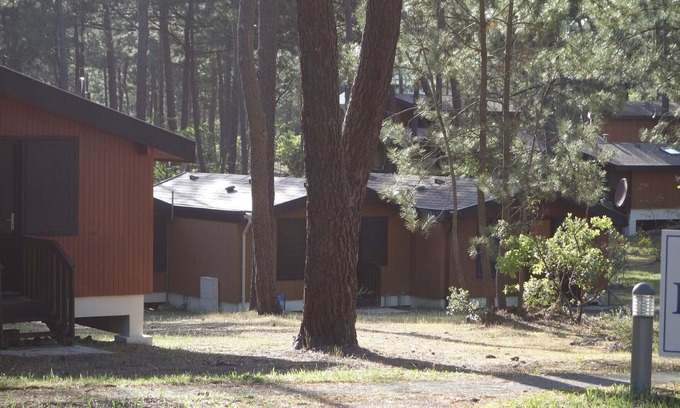 Maubuisson Chalet De Esquí | Chalet en Bois Dans la Foret de Pins Entre lac et Océan - Calme -
