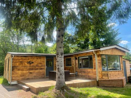 Saint-Maurice-sur-Moselle Otro | Chalet 9 personnes, piscine, terrasse