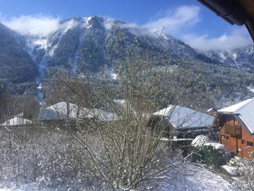 Thollon-les-Memises Chalet De Esquí | chalet haute-savoie