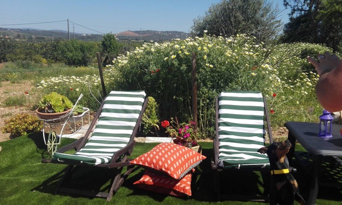 Ferrarias Casa | Chalet con piscina privada cerca de Zoomarine, Zona tranquila (WiFi gratis)