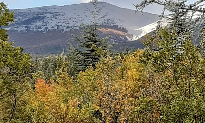 Bedoin Chalet De Esquí | Chalet rodeado de naturaleza a 2.5 km de BEDOIN