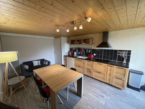 Saint-Jacques-des-Blats Apartamento | Chaleureux duplex avec balcon près des pistes - FR-1-787-16