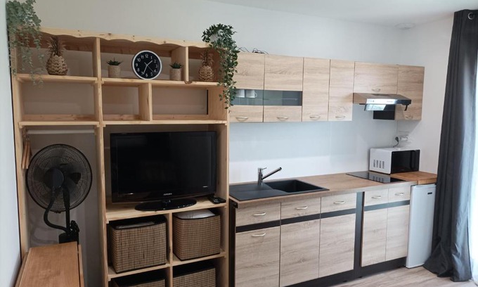 Villeneuve-les-Beziers Apartamento | Chambre aménagé en studio