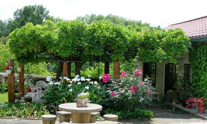 Mielan Cama Y Desayuno | Chambres d'hôtes Sous la Glycine