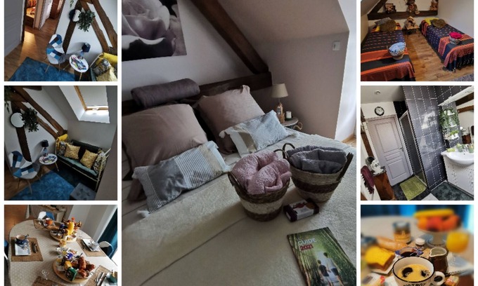 Nouan-sur-Loire Cama Y Desayuno | Chambres d'Hôtes, 2 to 4 pers. near CHAMBORD with breakfast included