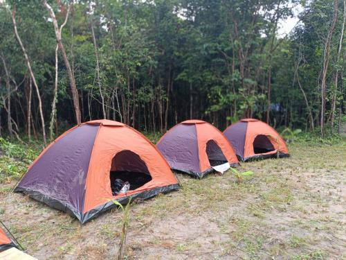 Sout Nikom Casa | Chansor Homestay 3 By Siem Reap Homesteading