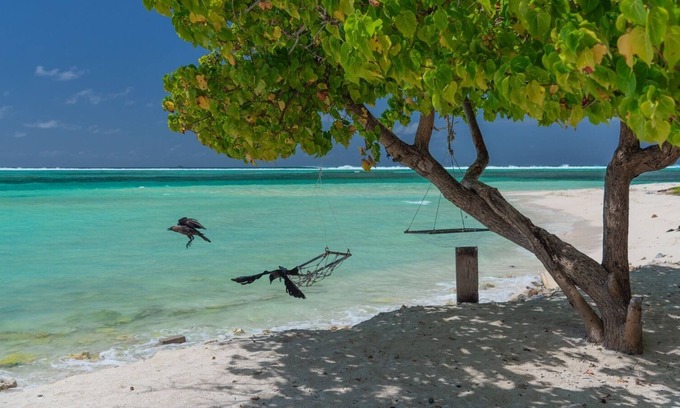 Maafushi Cama Y Desayuno | Chao Guesthouse Maafushi - Chao Room 02