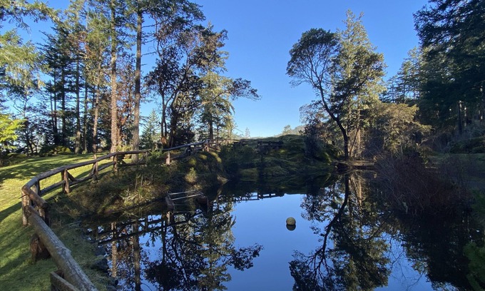 Sooke Cabina | Charlies Cabin near the sea, located on 10 acres of forested land.