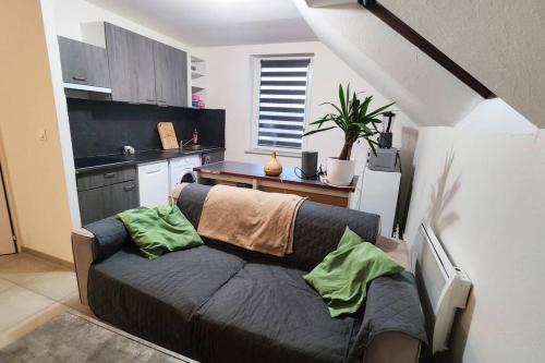 Erstein Apartamento | Charmant appart près Europa-Park Rulantica 30 min