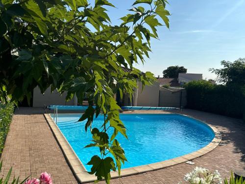 Sorede Casa | Charmant pavillon avec piscine et animaux acceptés - Sorède - FR-1-732-32
